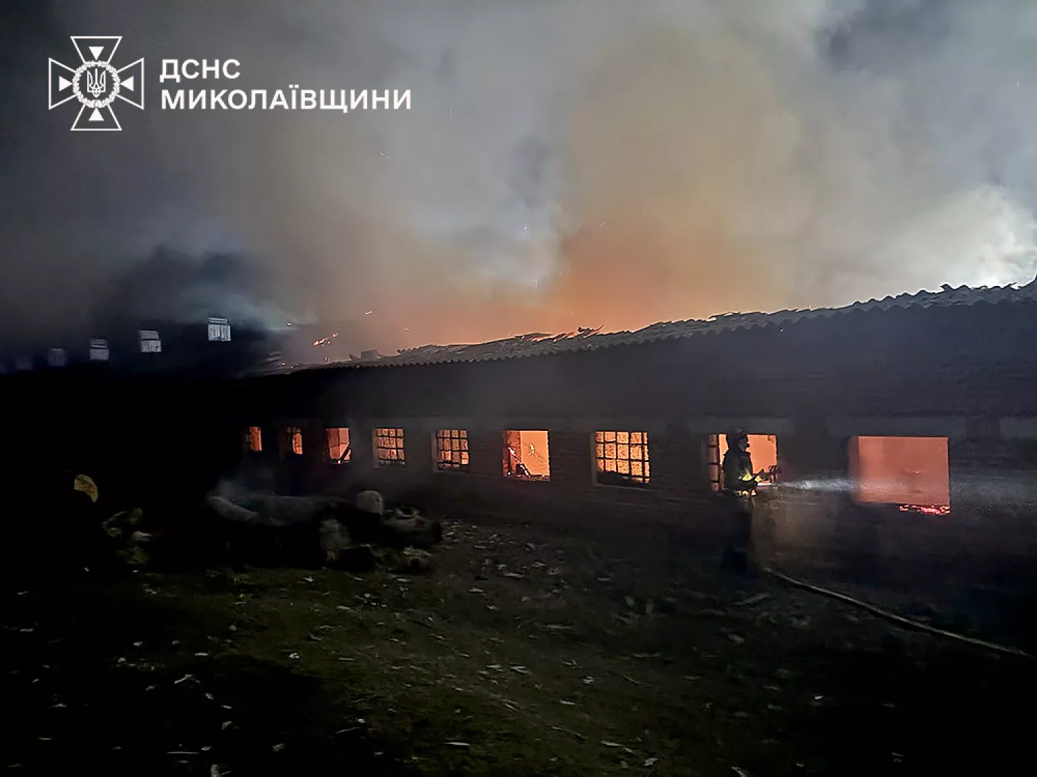 Пожежа на свинофермі у селі Грушівка 18 березня . Фото: ДСНС