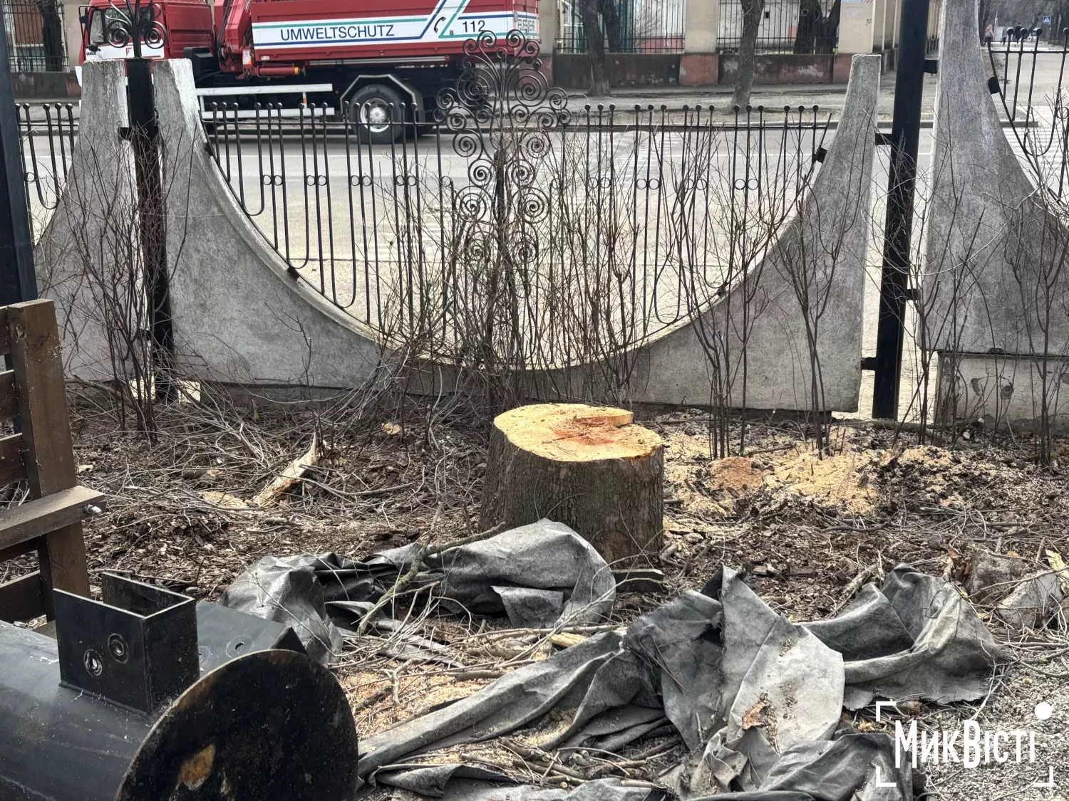 У миколаївській 