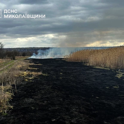 Наслідки пожеж у Миколаївській області, фото: ДСНС Миколаївщина