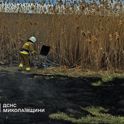 Наслідки пожеж у Миколаївській області, фото: ДСНС Миколаївщина