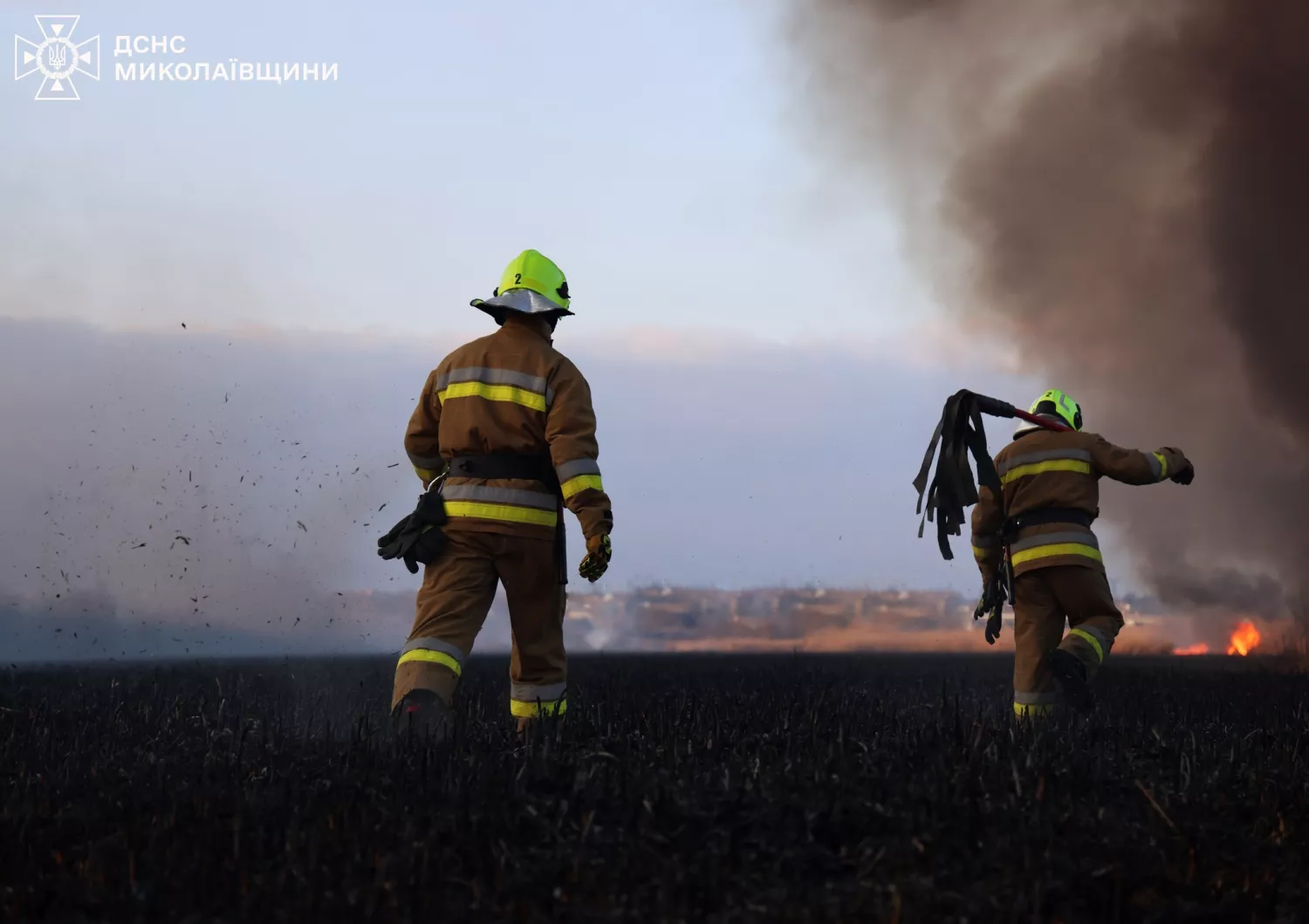 Наслідки пожежу сухостою в мікрорайоні Аляуди у Миколаєві. Фото: ДСНС Миколаївщини