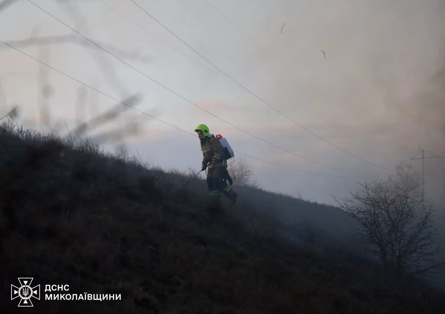 Наслідки пожежу сухостою в мікрорайоні Аляуди у Миколаєві. Фото: ДСНС Миколаївщини