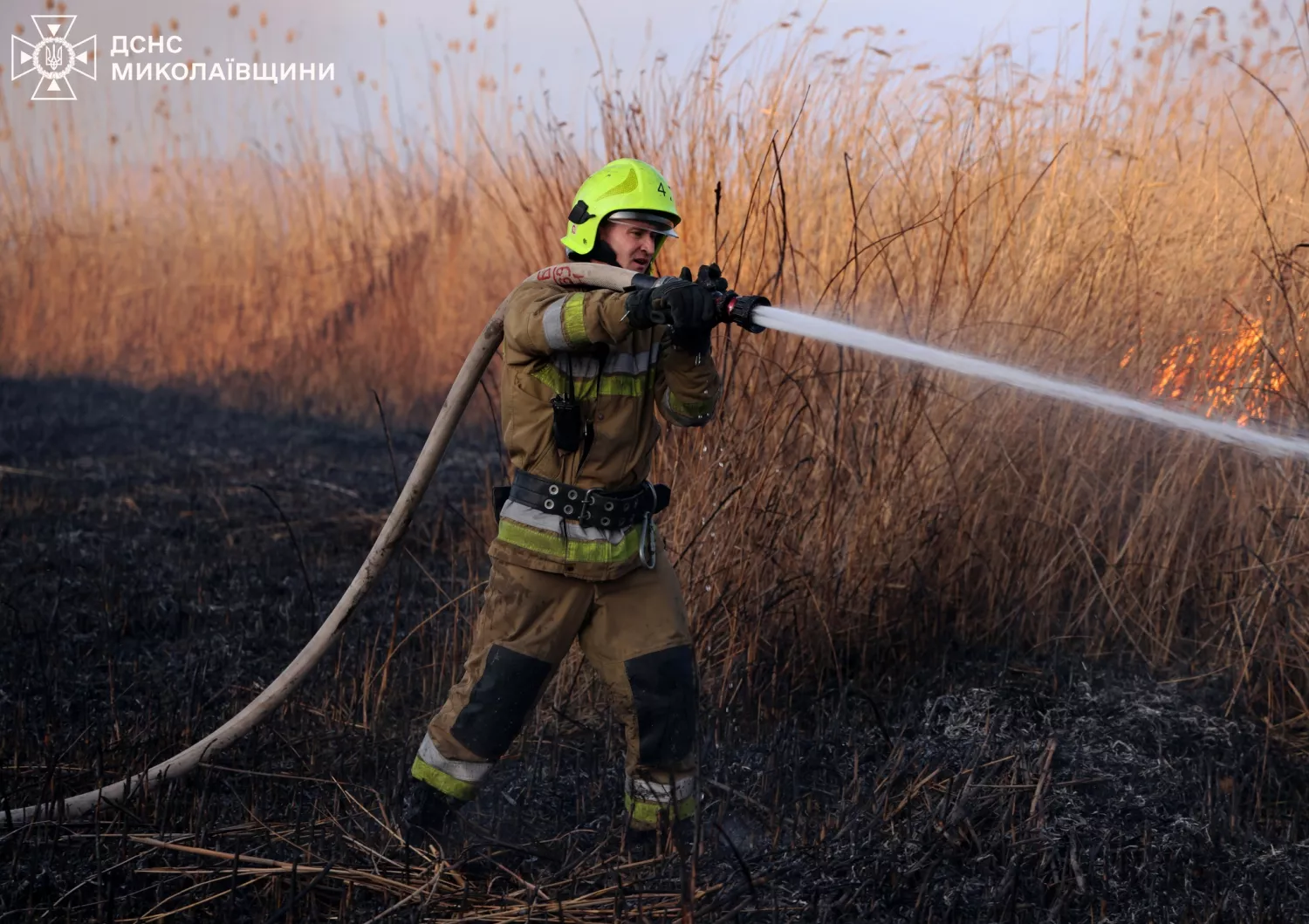 Наслідки пожежу сухостою в мікрорайоні Аляуди у Миколаєві. Фото: ДСНС Миколаївщини
