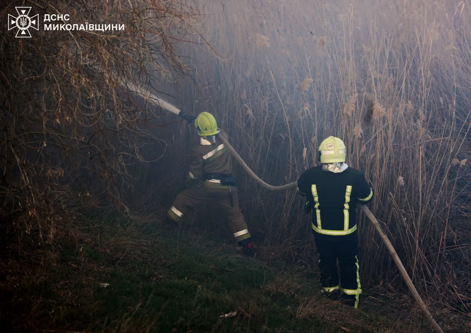 Наслідки пожежу сухостою в мікрорайоні Аляуди у Миколаєві. Фото: ДСНС Миколаївщини