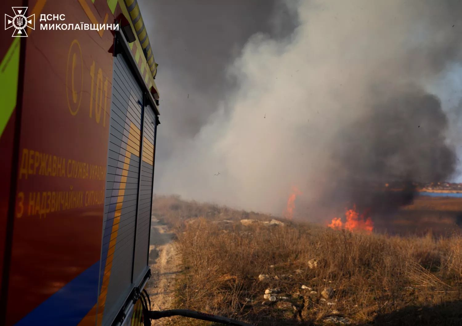 Наслідки пожежу сухостою в мікрорайоні Аляуди у Миколаєві. Фото: ДСНС Миколаївщини