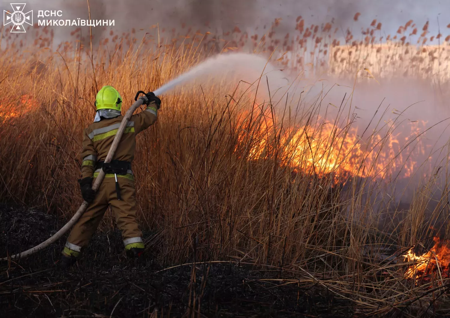 Пожежа очерети в мкрн Аляуди. Фото: ДСНС Миколаївщини