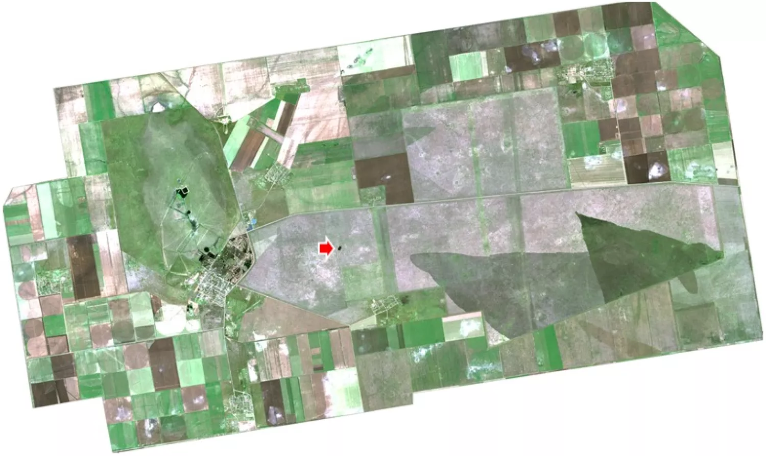 В «Асканії-Нова» через пожежу вигоріло майже 2 гектари степу. Фото: Пресслужба заповіднику