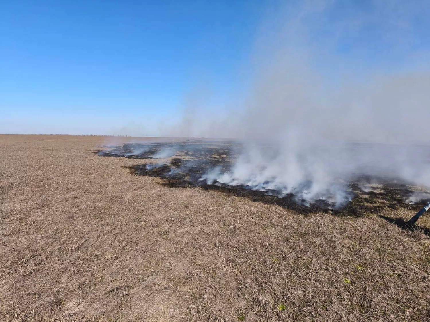 В «Асканії-Нова» через пожежу вигоріло майже 2 гектари степу. Фото: Пресслужба заповіднику