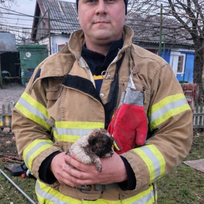 На Одещині рятувальники витягли цуценя з глибокої ями. Фото: ДСНС