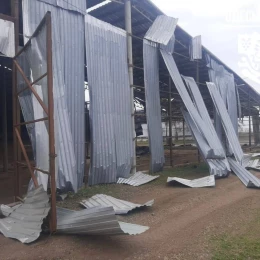 На Одещини внаслідок атаки БпЛА пошкоджено фермерське господарство. Фото: ОВА