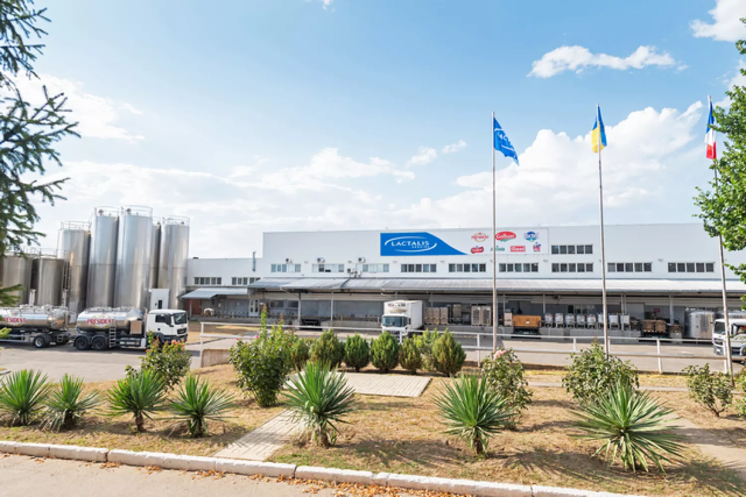 «Лакталіс» просить гектар землі під новий трубопровід: у міськраді вивчають гарантії ремонту доріг. Фото: Південна правда