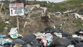 Сміттєзвалище селища, на яке немає документів. Фото: Суспільне Миколаїв/Олена Гнатенко