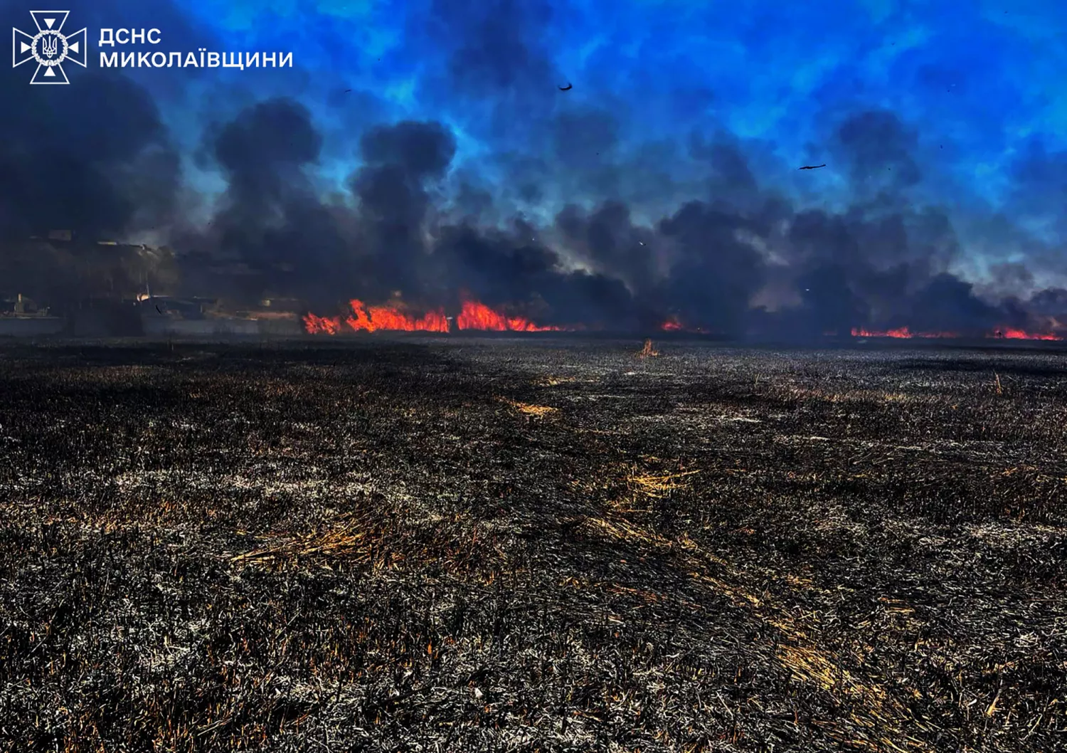 Наслідки пожеж у Миколаївській області. Фото: ДСНС Миколаївщина