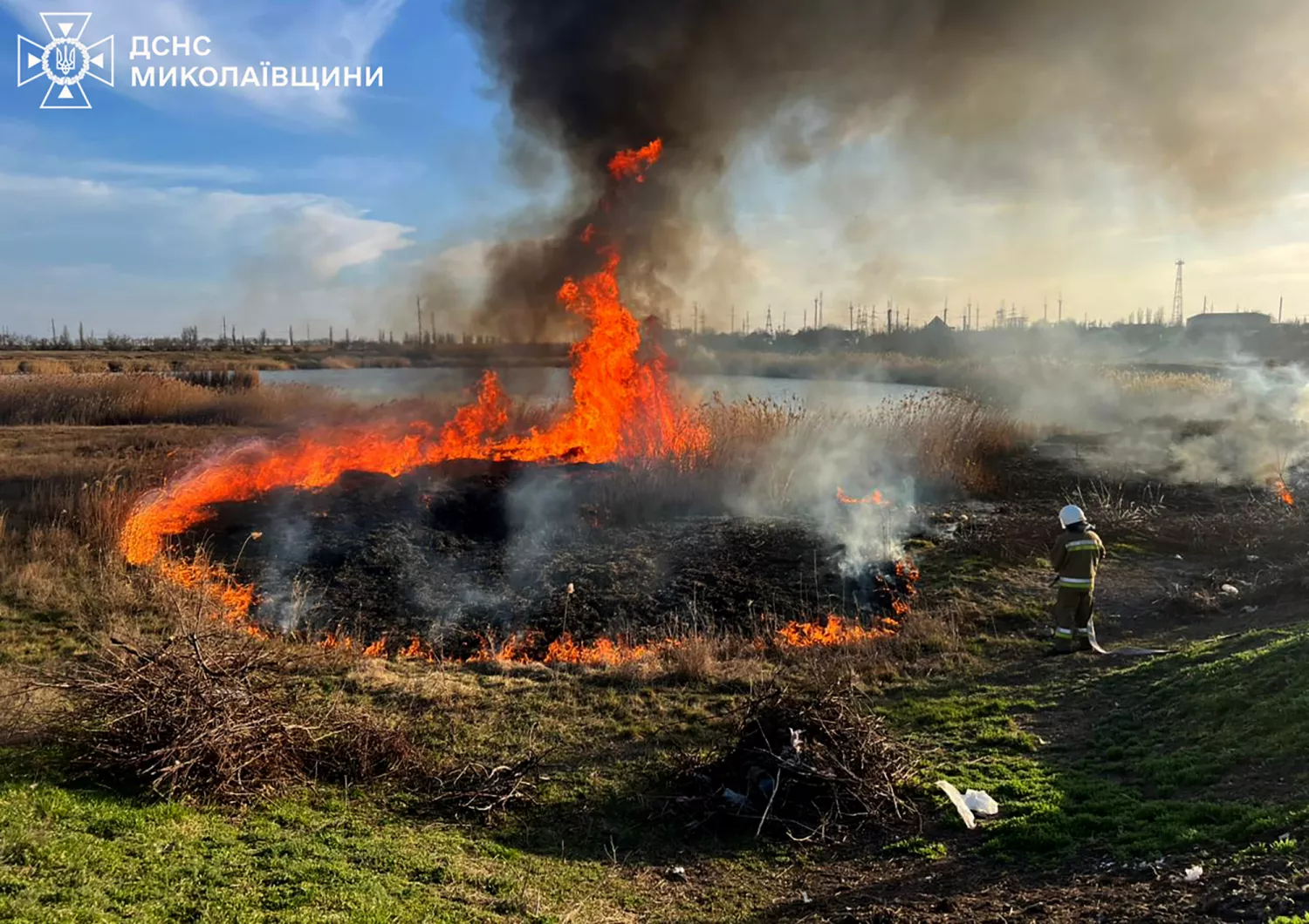 Наслідки пожеж у Миколаївській області. Фото: ДСНС Миколаївщина