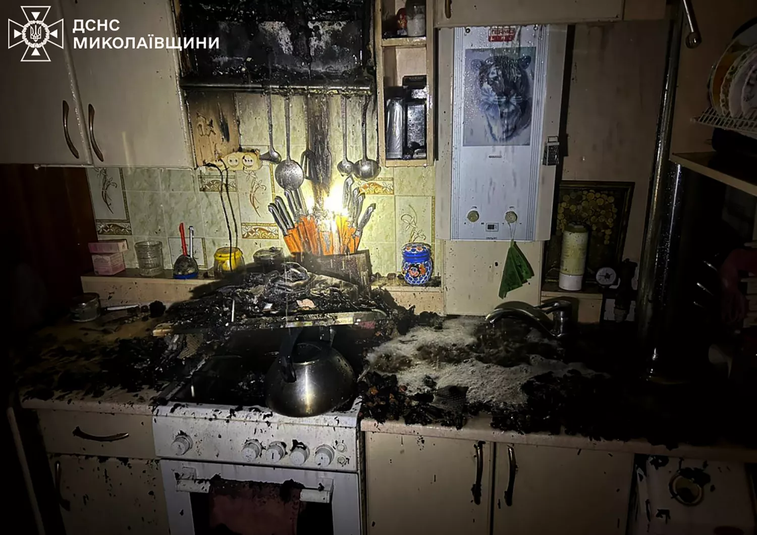 Наслідки пожеж у Миколаївській області. Фото: ДСНС Миколаївщина