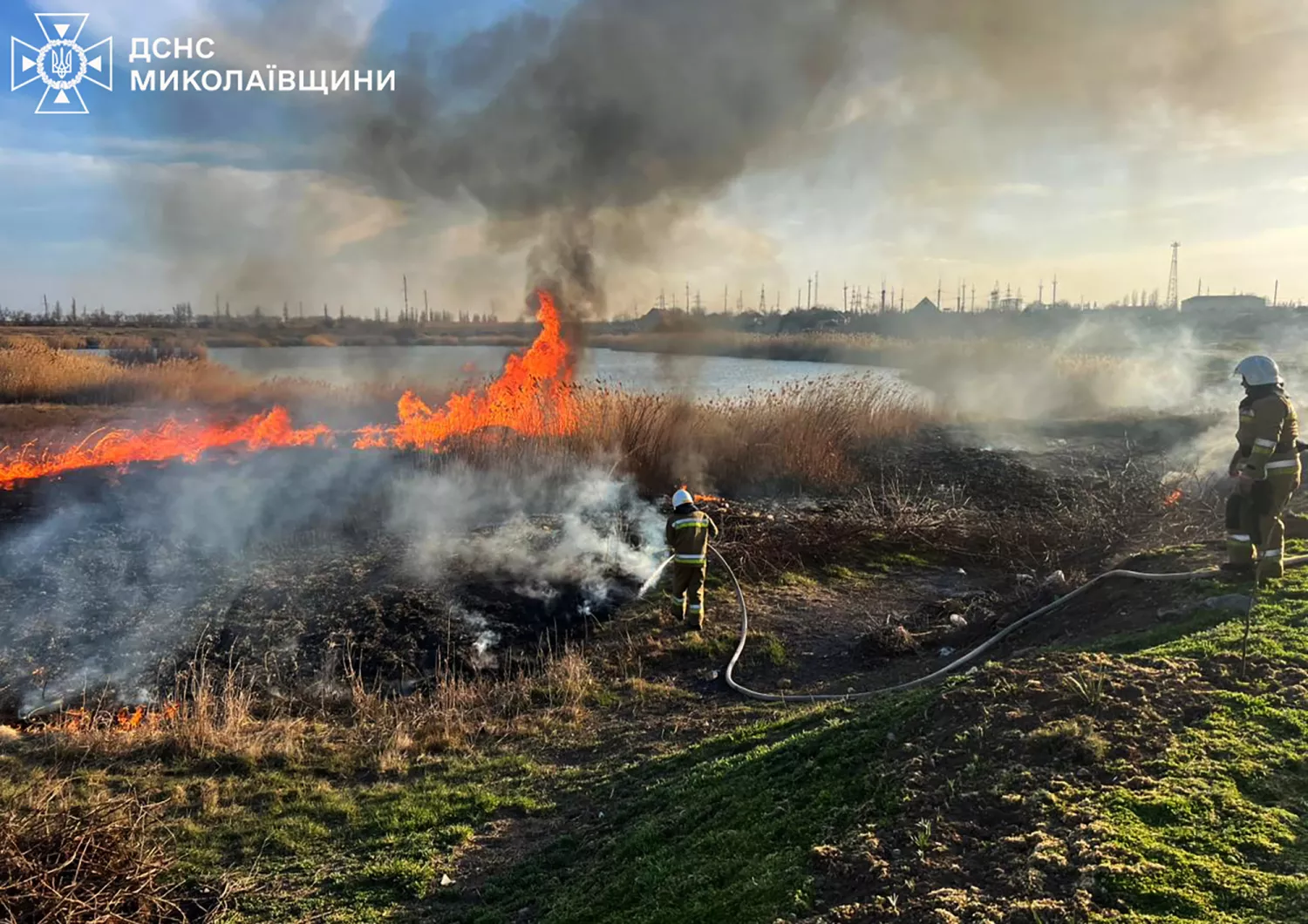 Наслідки пожеж у Миколаївській області. Фото: ДСНС Миколаївщина