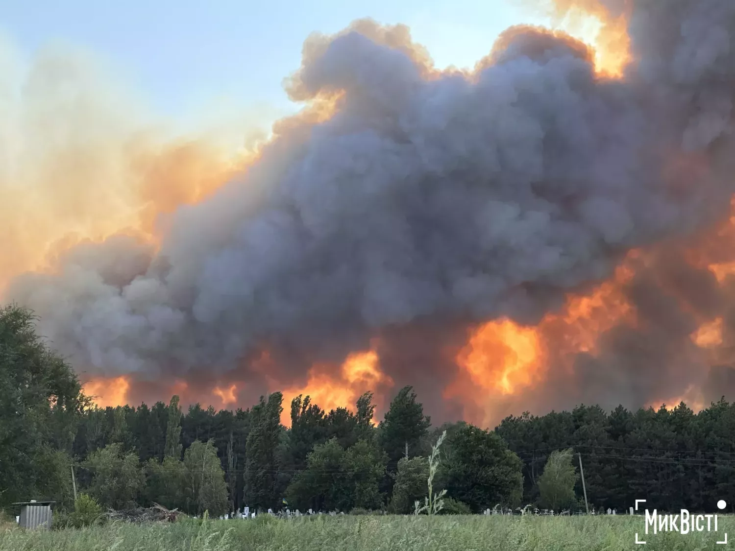 Масштабна пожежа біля села Варюшине у Миколаївській області, 28 липня 2025 року. Фото: НикВести