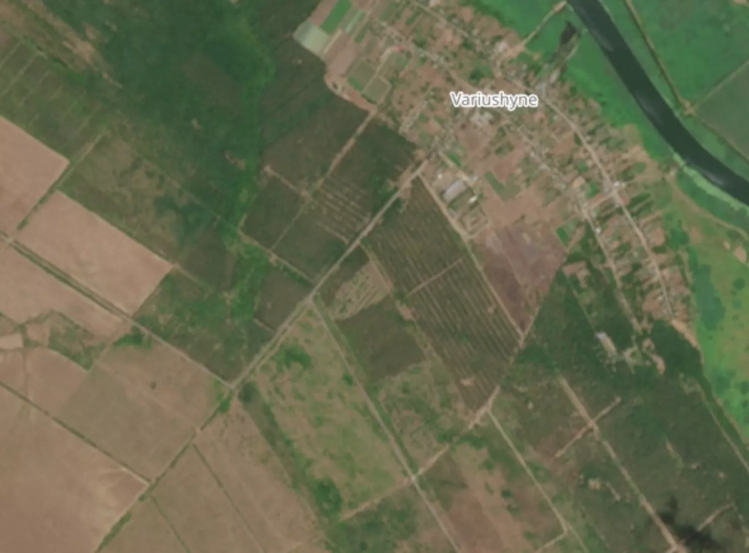 Ліс біля сіл Варюшине та Новий Городок до пожежі. Скриншот з системи дистанційного зондування Землі Copernicus