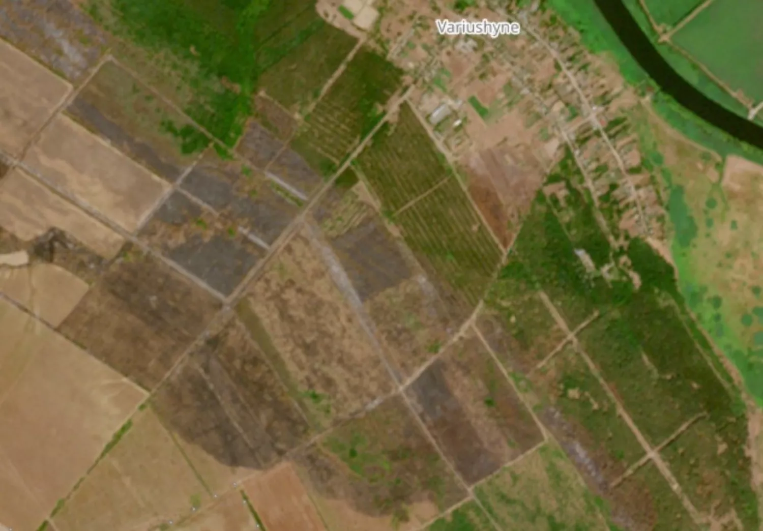 Ліс біля сіл Варюшине та Новий Городок після пожежі. Скриншот з системи дистанційного зондування Землі Copernicus