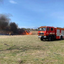 Пожежа у парку в Лісках. Фото &laquo;НикВести&raquo;.