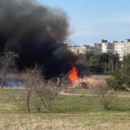 Пожежа у парку в Лісках. Фото &laquo;НикВести&raquo;.