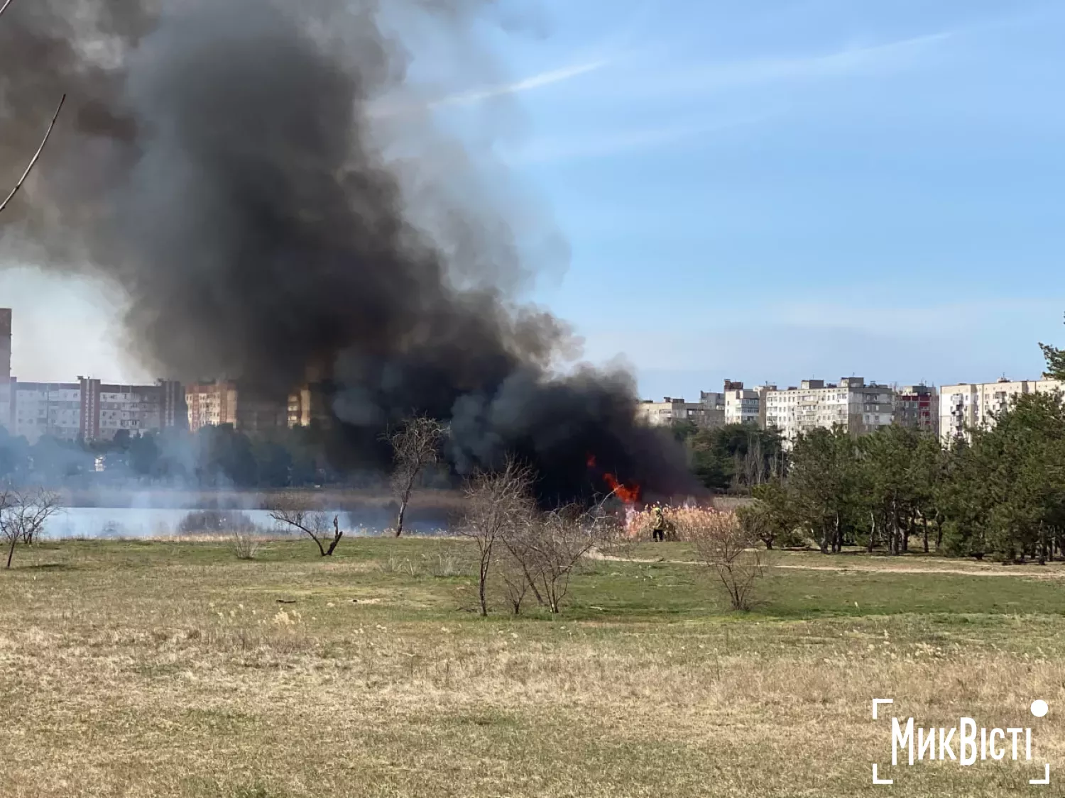 Пожежа у парку в Лісках. Фото &laquo;НикВести&raquo;.