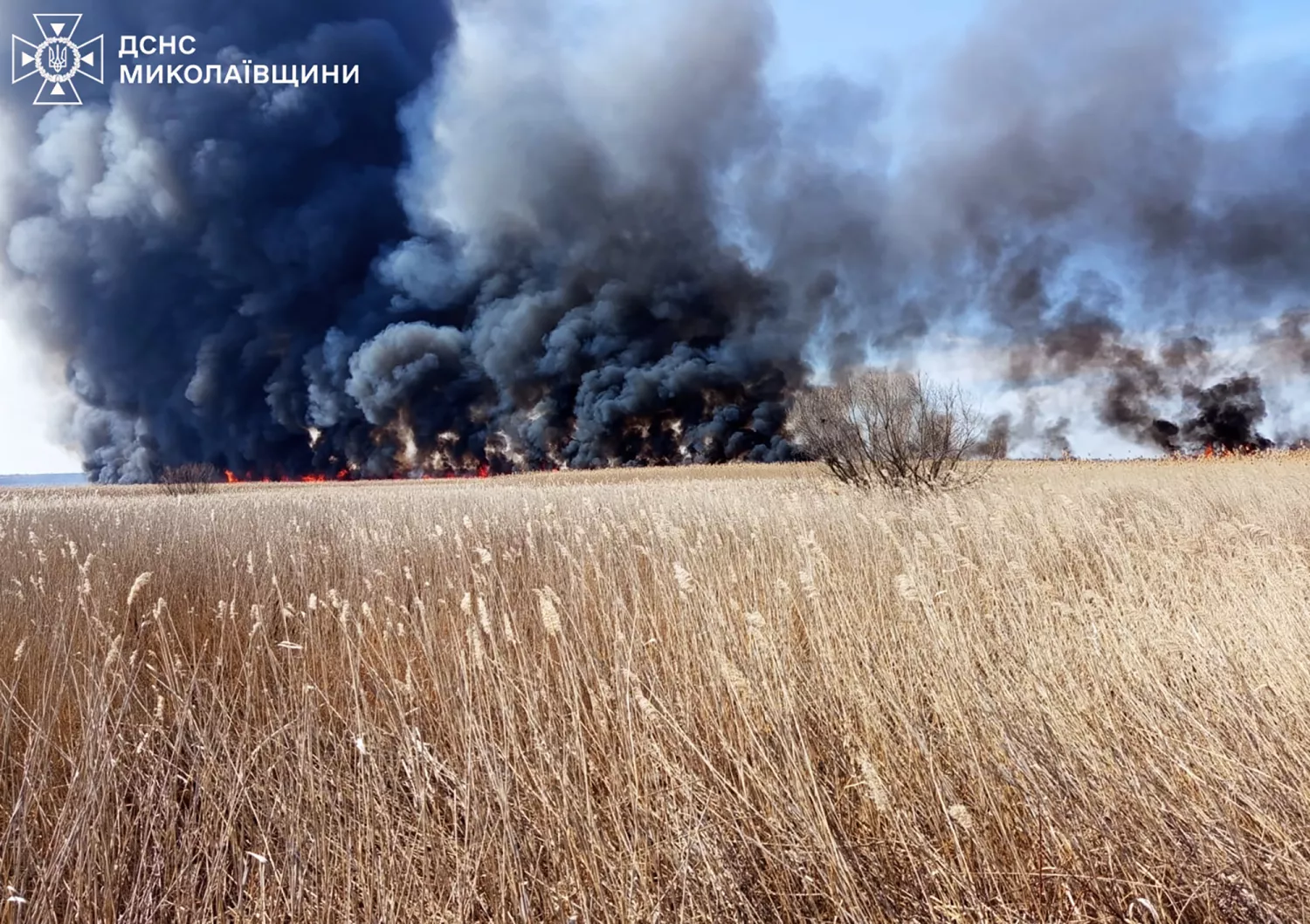 Наслідки пожеж на Миколаївщині 24 березня. Фото: ДСНС Миколаївщини