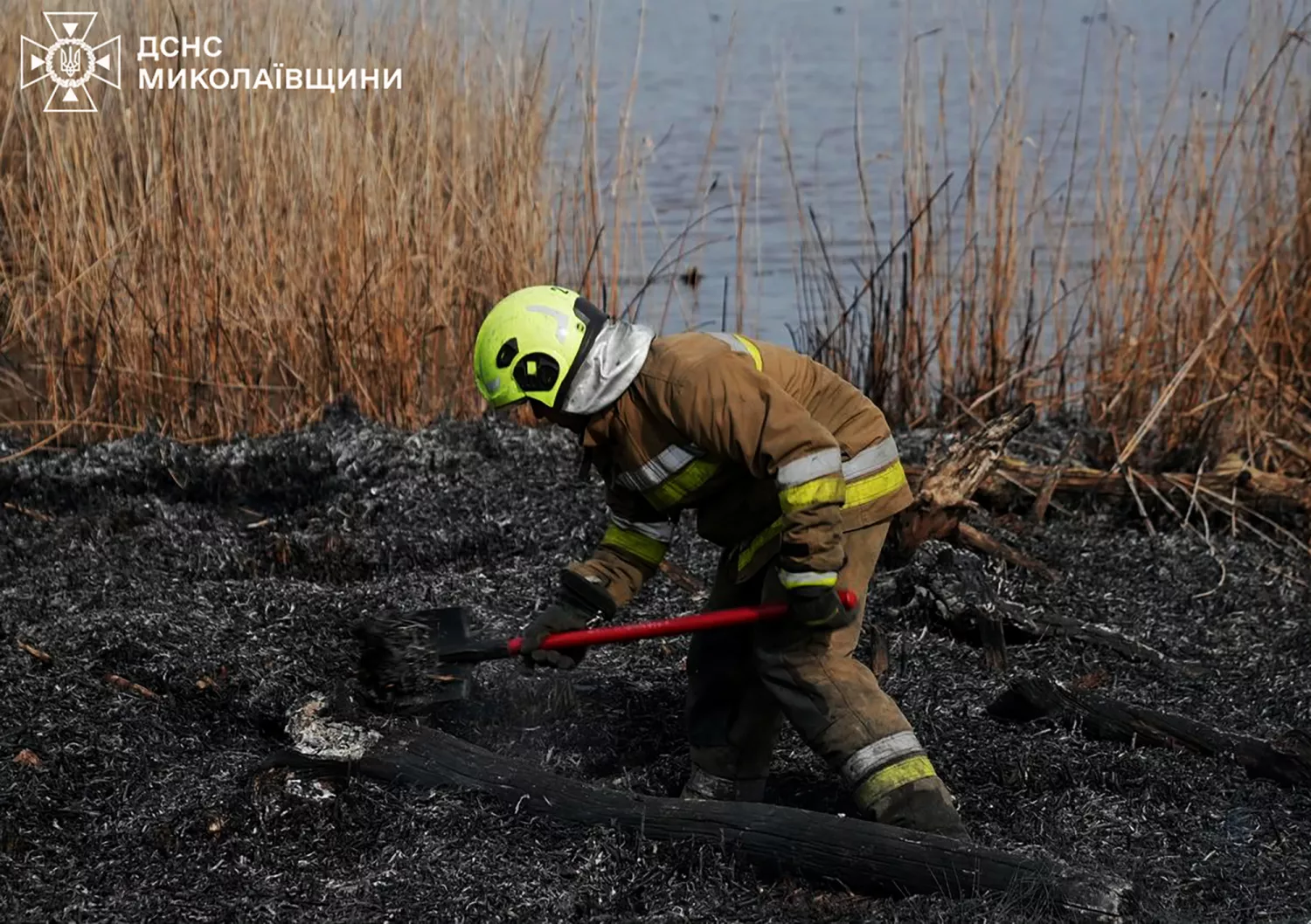 Наслідки пожеж на Миколаївщині 24 березня. Фото: ДСНС Миколаївщини