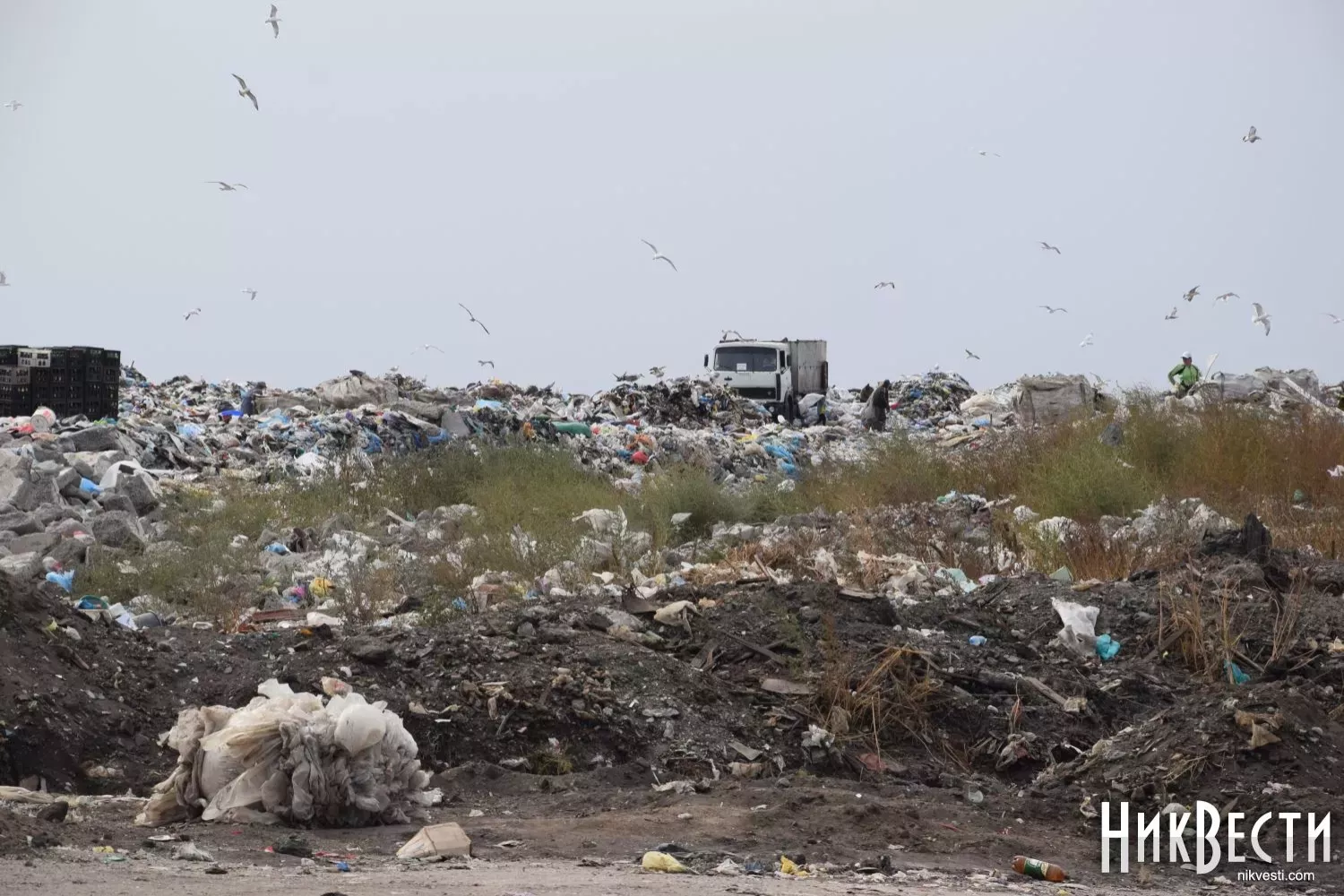 Полігон ТПВ під Миколаєвом. Фото для ілюстрації: архів NikVesti