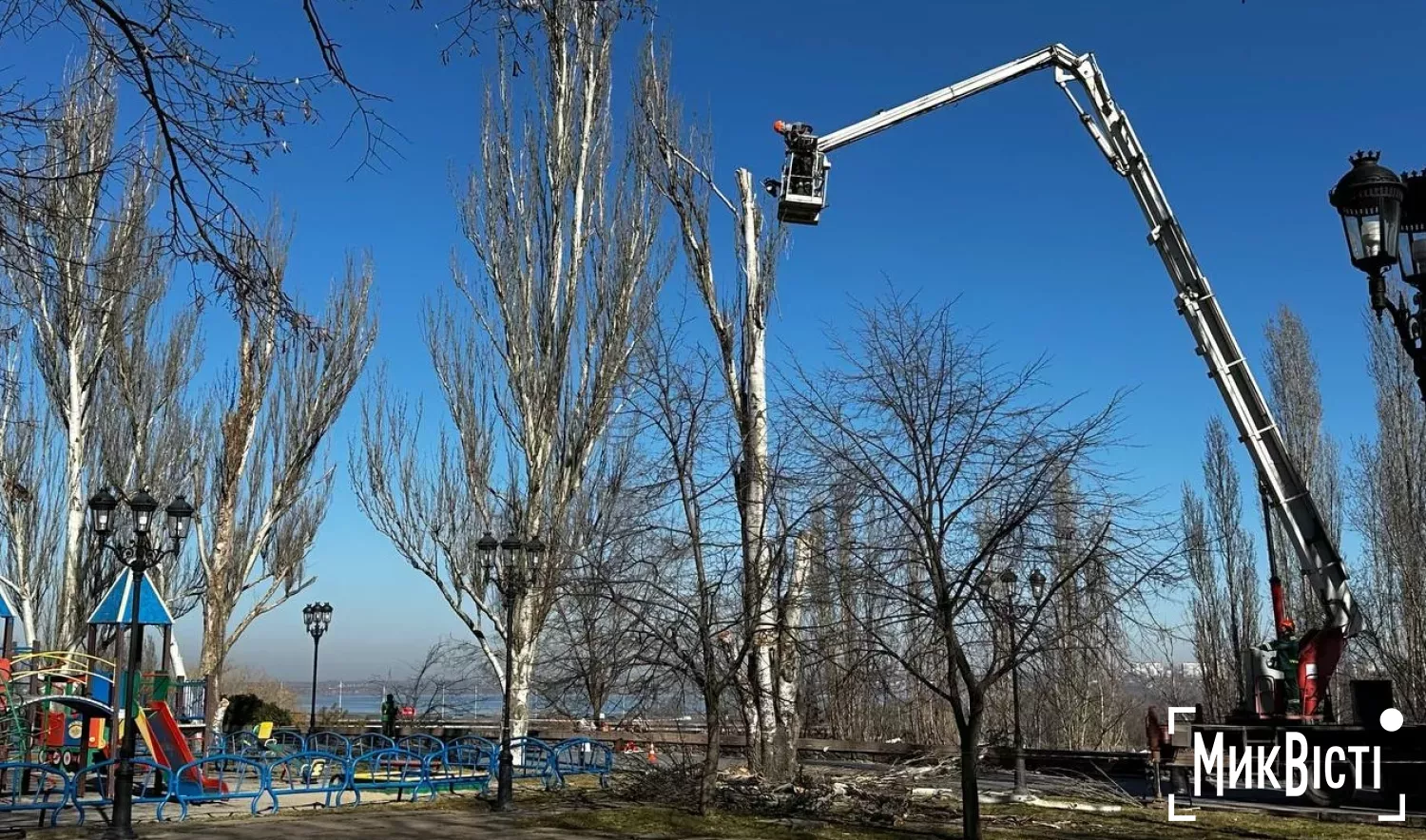 «Миколаївські парки» не справляються з обрізкою дерев: до робіт залучать додаткові КП та райадміністрації. Фото: архів НикВести