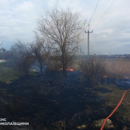 За добу на Миколаївщині вигоріло 2 гектари очерету та сухої трави, фото: ГУ ДСНС в Миколаївській області