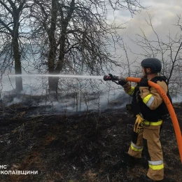 За добу на Миколаївщині вигоріло 2 гектари очерету та сухої трави, фото: ГУ ДСНС в Миколаївській області