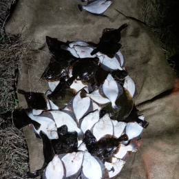 На Тилігульському лимані викрили браконьєра. Фото: Держекоінспекція