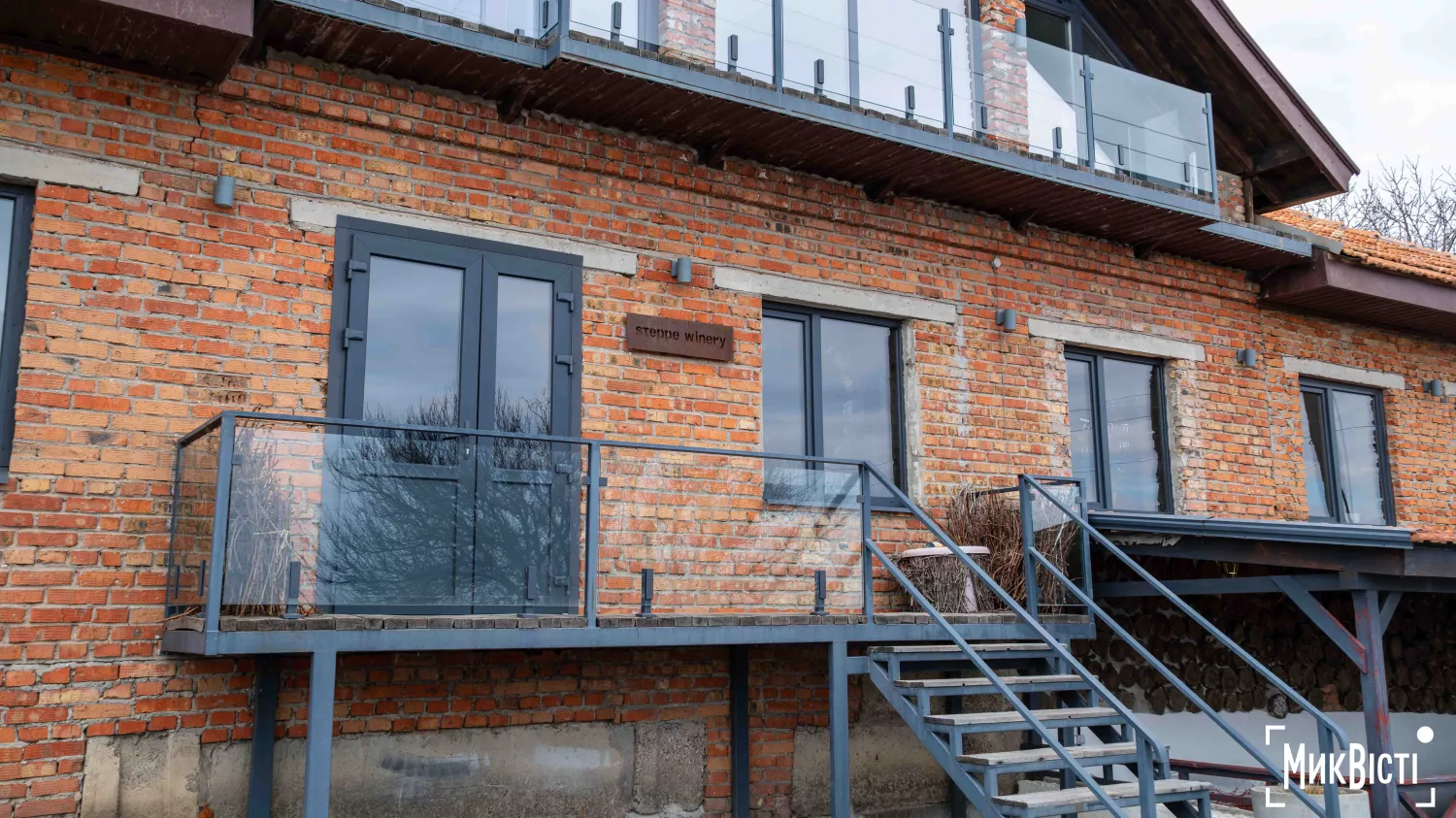 У Радсадівській громаді на розмінованих землях висаджують виноградники. Фото: Даріна Мельничук / МикВісті