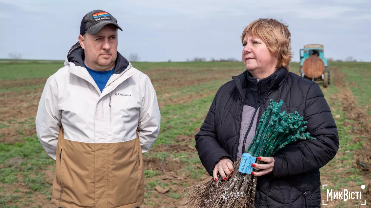 У Радсадівській громаді на розмінованих землях висаджують виноградники. Фото: Даріна Мельничук / МикВісті