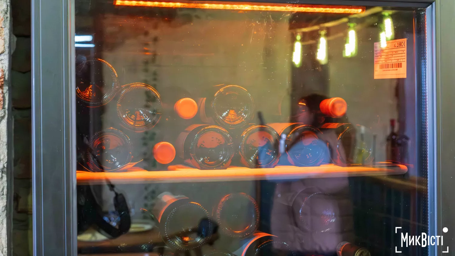 У Радсадівській громаді на розмінованих землях висаджують виноградники. Фото: Даріна Мельничук / МикВісті