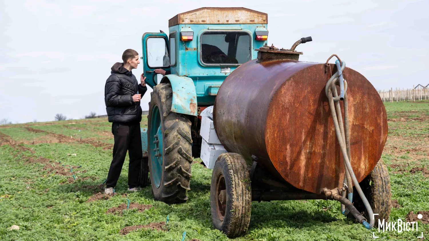 У Радсадівській громаді на розмінованих землях висаджують виноградники. Фото: Даріна Мельничук / МикВісті