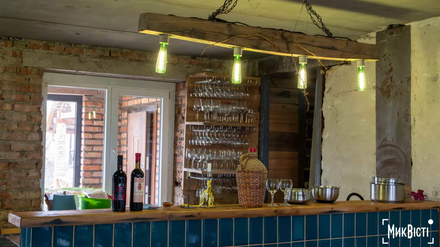 У Радсадівській громаді на розмінованих землях висаджують виноградники. Фото: Даріна Мельничук / МикВісті