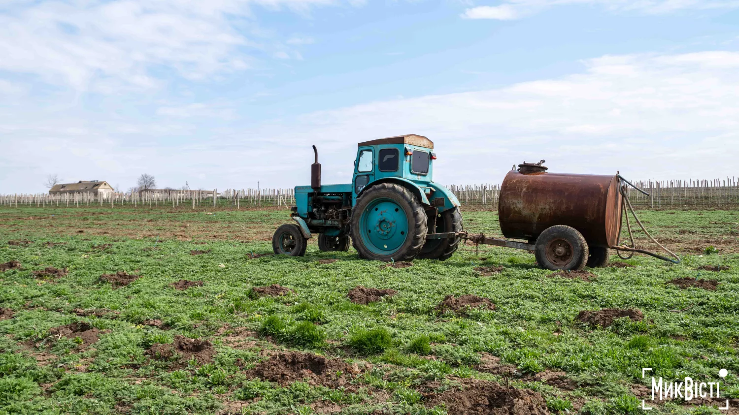 У Радсадівській громаді на розмінованих землях висаджують виноградники. Фото: Даріна Мельничук / МикВісті