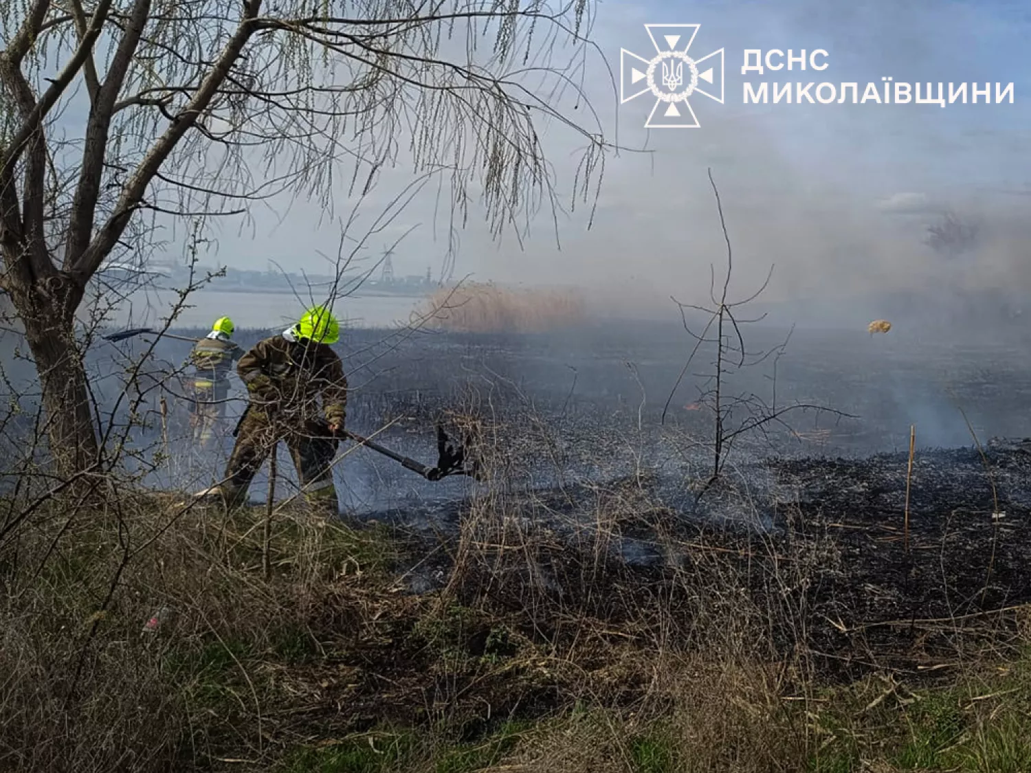 Пожежа на Миколаївщині. Фото: ДСНС