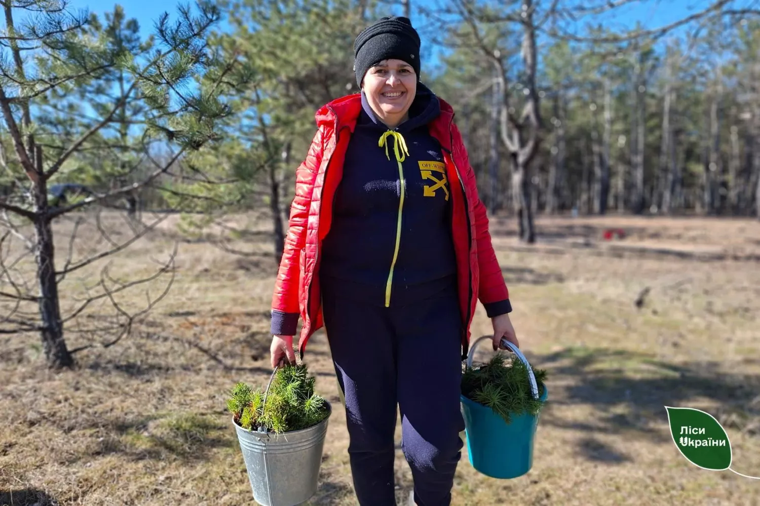 На Херсонщині вперше після війни почали висаджувати ліси: 1,8 га вже засаджено. Фото: Південний лісовий офіс