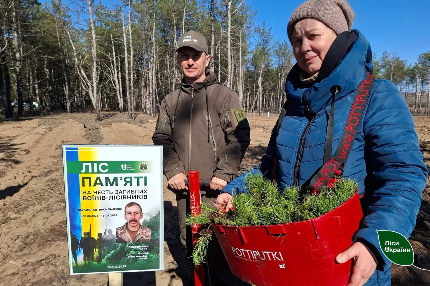 На Херсонщині вперше після війни почали висаджувати ліси: 1,8 га вже засаджено. Фото: Південний лісовий офіс