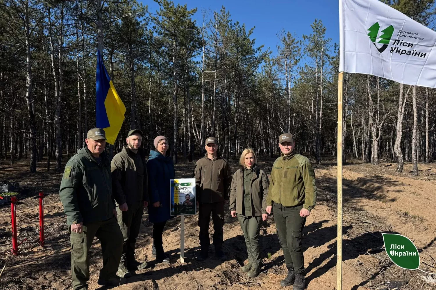 На Херсонщині вперше після війни почали висаджувати ліси: 1,8 га вже засаджено. Фото: Південний лісовий офіс