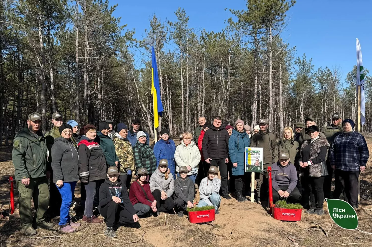 На Херсонщині вперше після війни почали висаджувати ліси: 1,8 га вже засаджено. Фото: Південний лісовий офіс