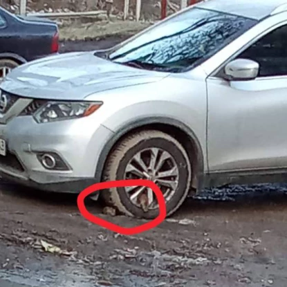 Щури біля недобудови по вул. 3-й Слобідській. Фото Оксани Гончарової