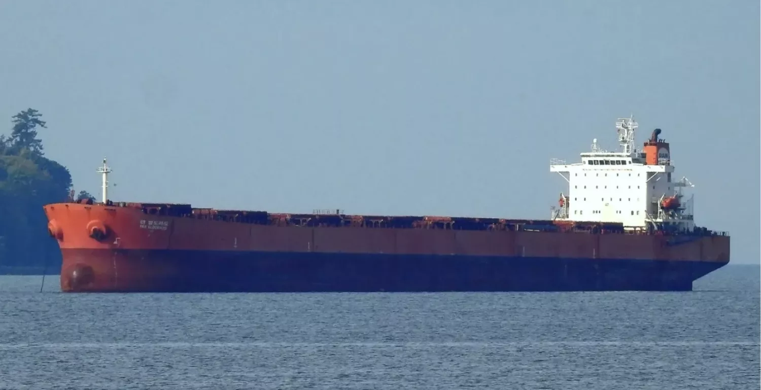 У Швеції затримали балкер, який ішов з Росії. Він скидав вугілля в море