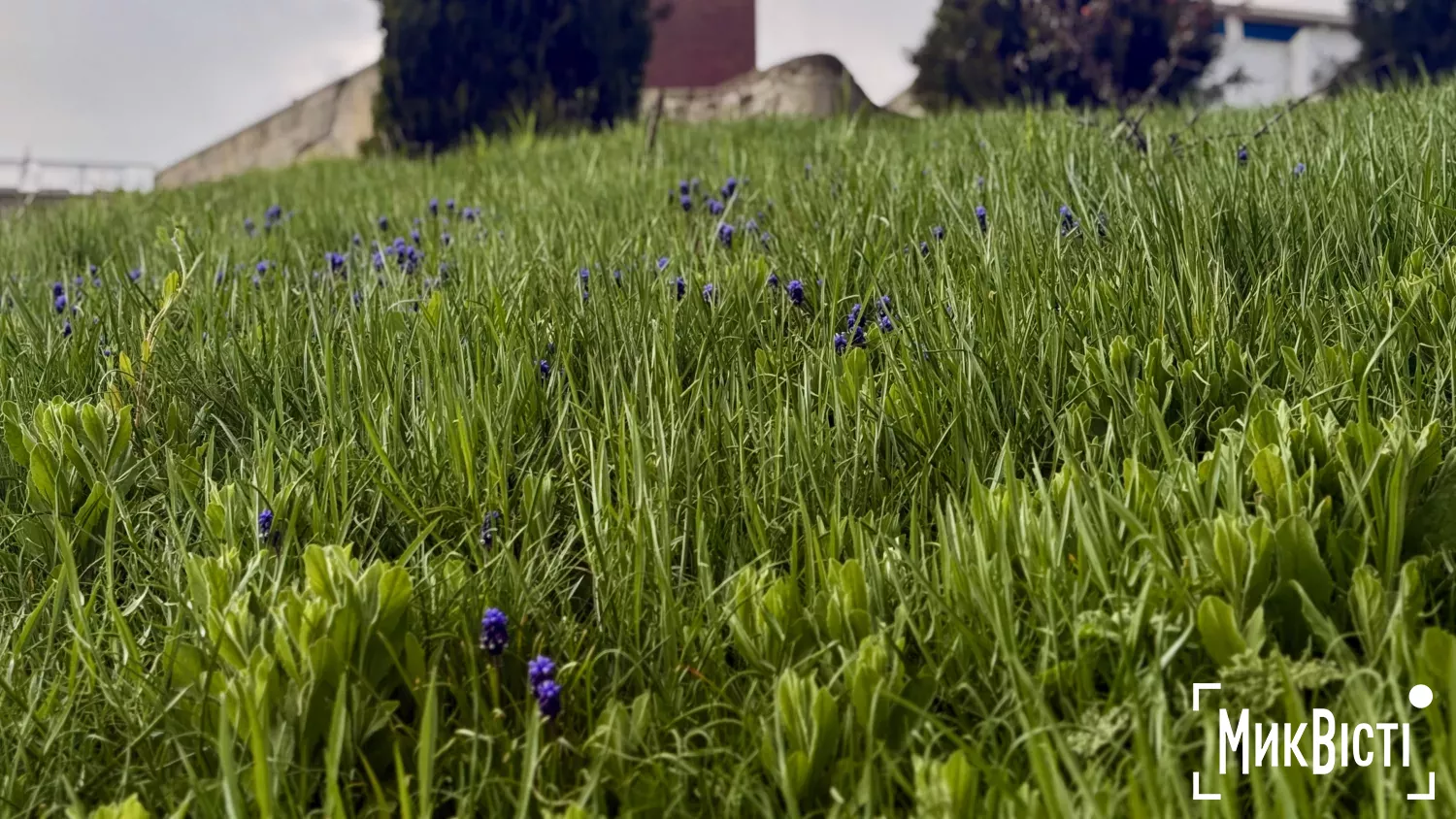 Ілюстративне фото: НикВести