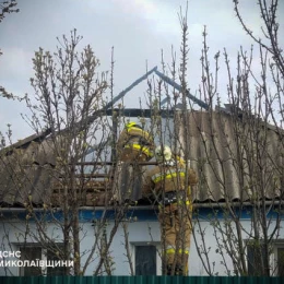 Пожежа у Миколаївській області. Фото: ДСНС