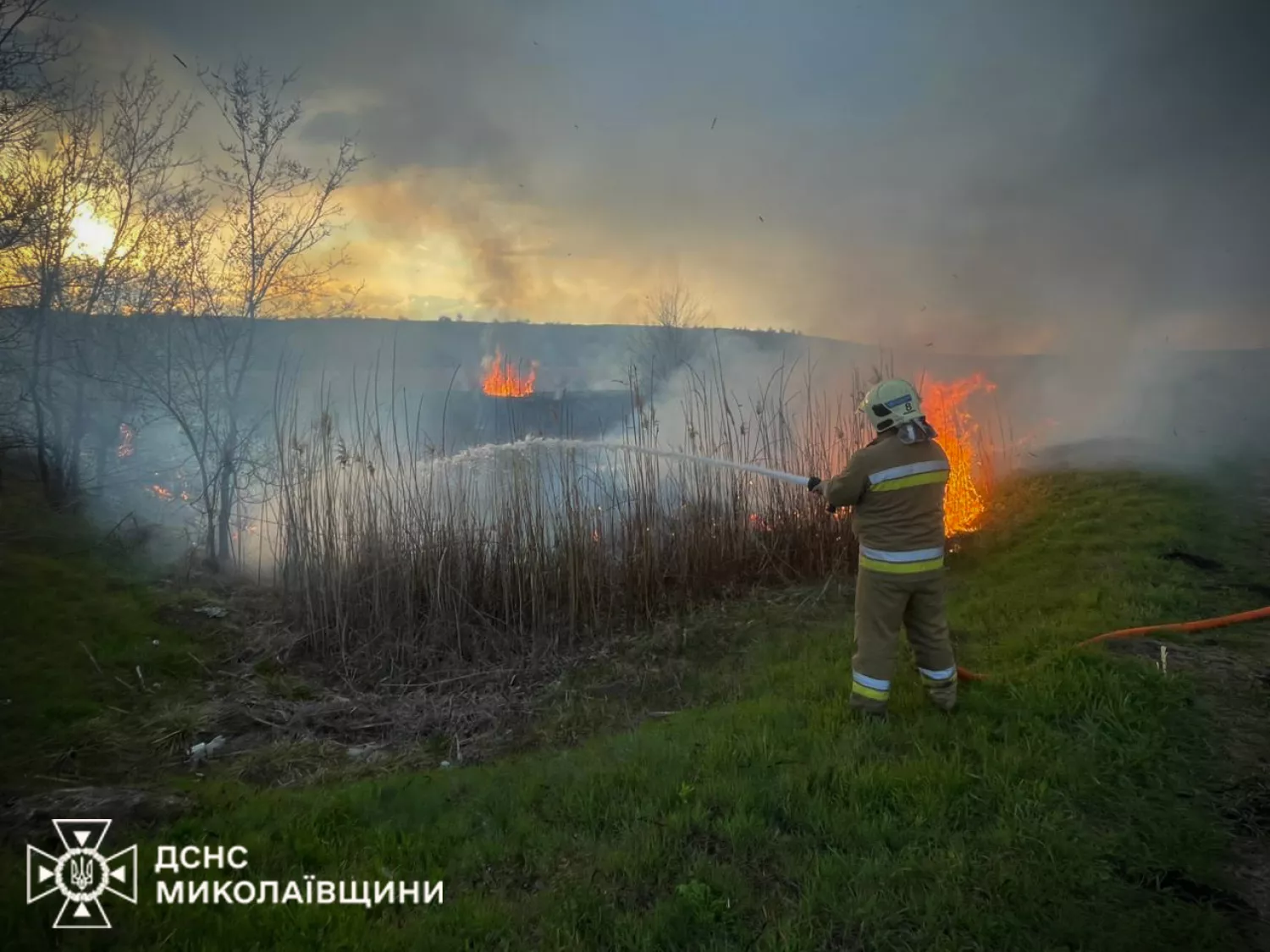 Пожежа у Миколаївській області. Фото: ДСНС