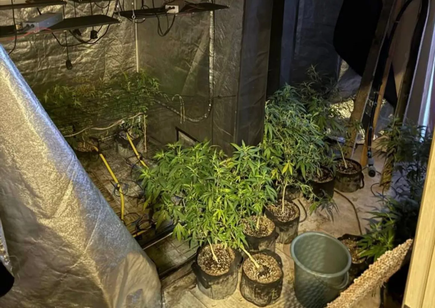 Контрабанда кокаїну з Іспанії: фото Одеської обласної прокуратури